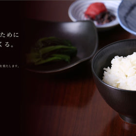 WASHOKU お茶をおいしくするための水