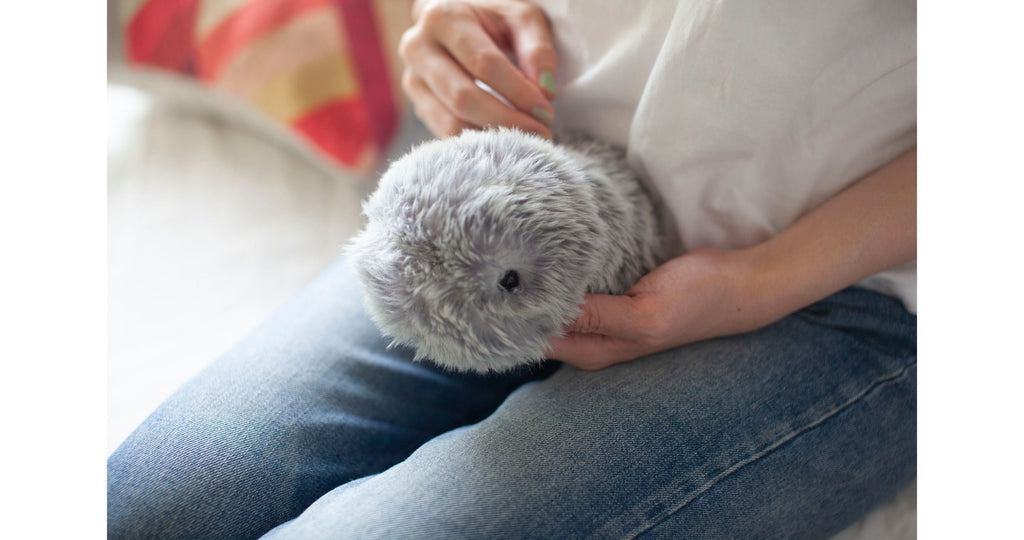 MOFLIN | An AI Pet with Emotional Capabilities