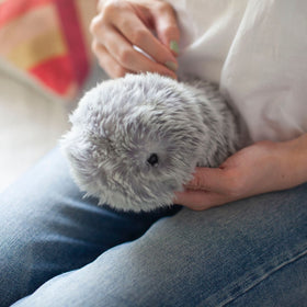 MOFLIN | An AI Pet with Emotional Capabilities