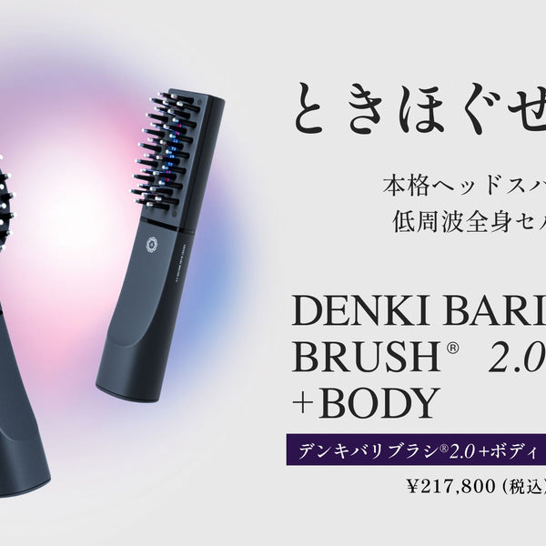 デンキバリブラシ®2.0＋ボディ