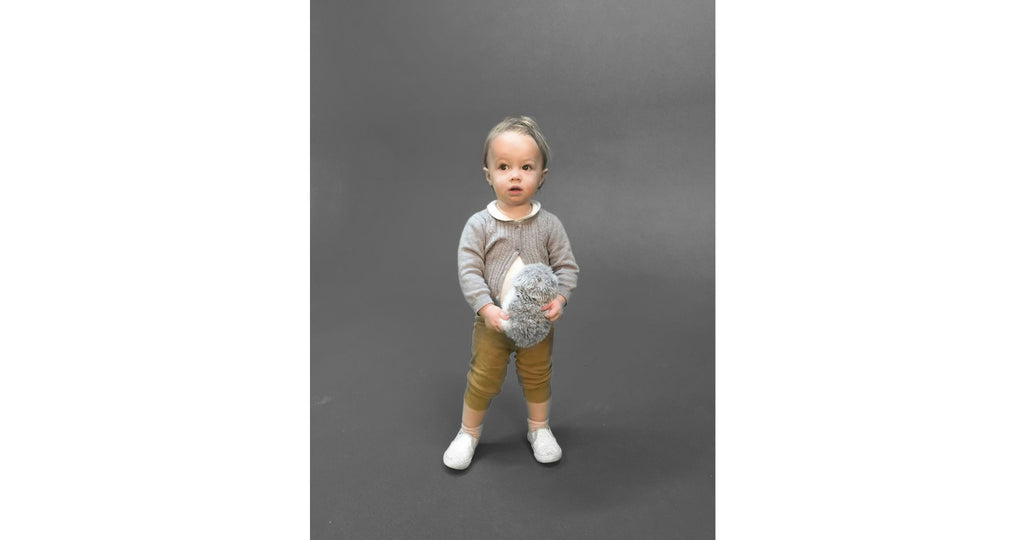 MOFLIN | An AI Pet with Emotional Capabilities