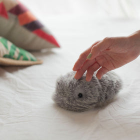 MOFLIN | An AI Pet with Emotional Capabilities