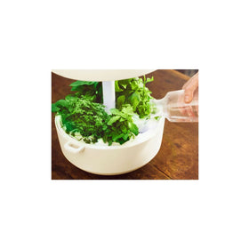 Plantui6 プラントゥイ6