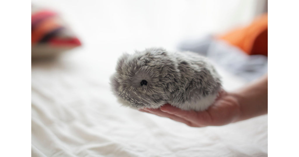 MOFLIN | An AI Pet with Emotional Capabilities
