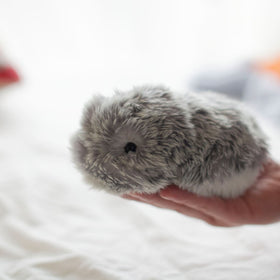 MOFLIN | An AI Pet with Emotional Capabilities