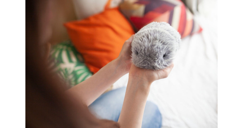 MOFLIN | An AI Pet with Emotional Capabilities